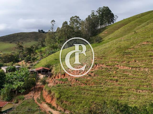 Sítio para Venda em São Luíz do Paraitinga - 4