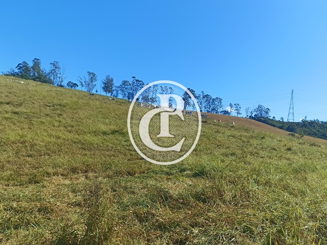 Fazenda para Venda em Jacareí - 4