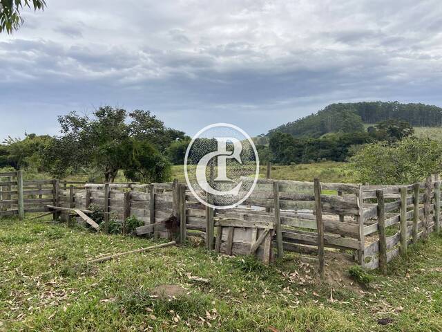 Fazenda para Venda em Lagoinha - 3