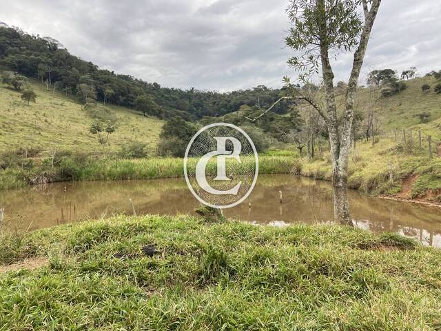 Fazenda para Venda em Lagoinha - 4