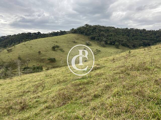 Fazenda para Venda em Lagoinha - 5