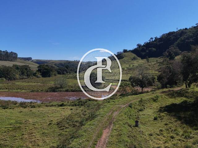 Fazenda para Venda em Cunha - 2