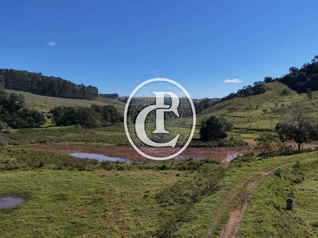 Fazenda para Venda em Cunha - 3