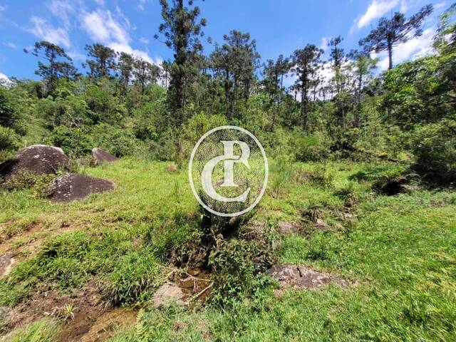 Fazenda para Venda em São José dos Campos - 3