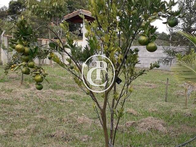 Chácara para Venda em Caçapava - 5