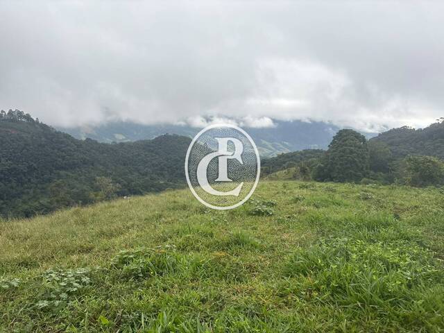 Sítio para Venda em São José dos Campos - 4
