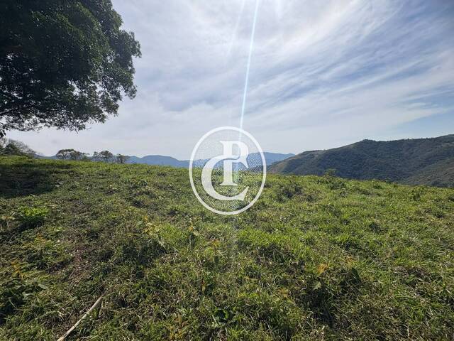 Sítio para Venda em São José dos Campos - 4