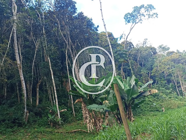 Sítio para Venda em Paraibuna - 3