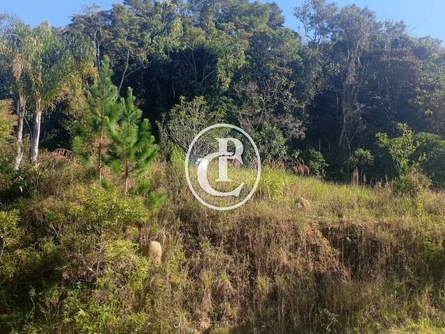 Sítio para Venda em Paraibuna - 4