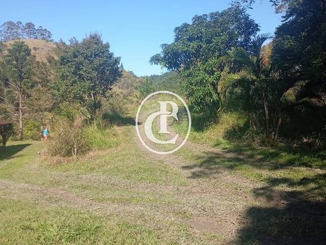 Sítio para Venda em Paraibuna - 5