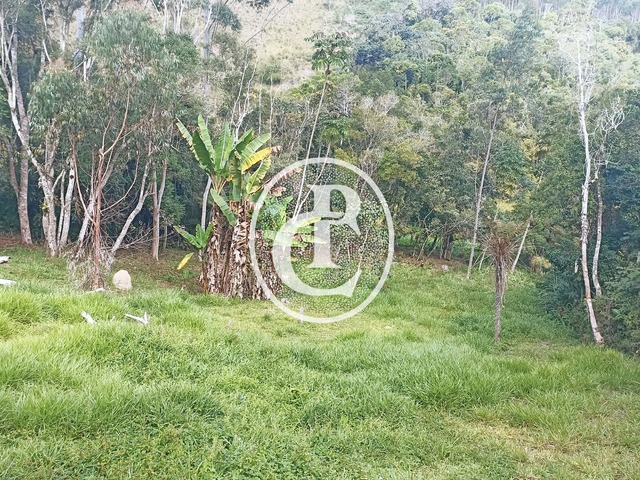 para em - 4