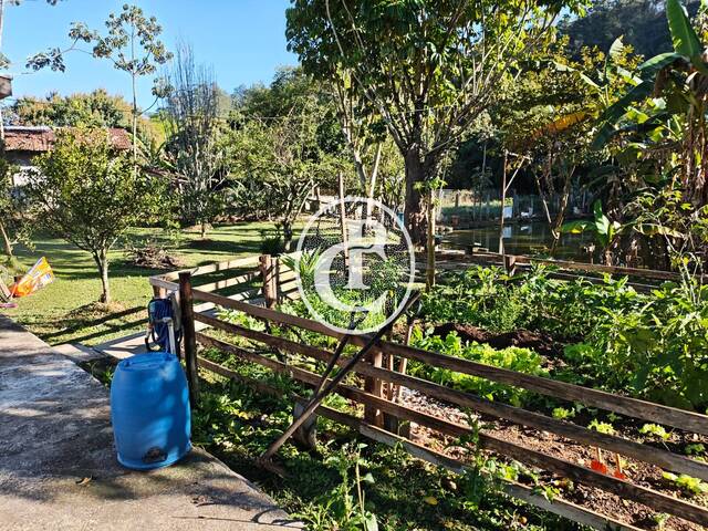 Chácara para Venda em Monteiro Lobato - 4
