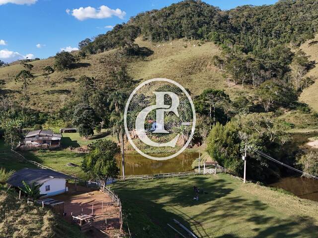 Fazenda para Venda em São Luíz do Paraitinga - 5
