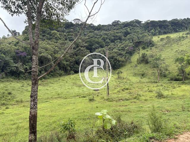 Sítio para Venda em São José dos Campos - 4