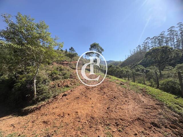 Sítio para Venda em São José dos Campos - 5