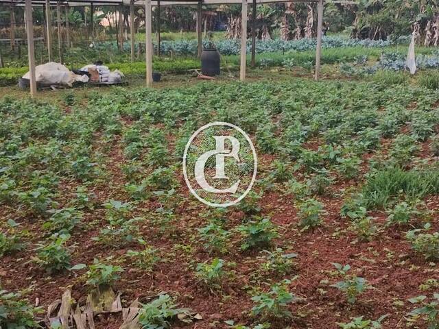#1878 - Chácara para Venda em Jacareí - SP