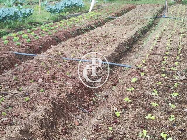 Chácara para Venda em Jacareí - 5
