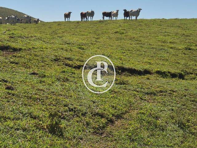 Fazenda para Venda em São José dos Campos - 4
