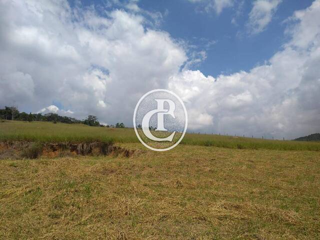 Venda em Lambari - Guararema