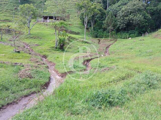 Sítio para Venda em Monteiro Lobato - 4