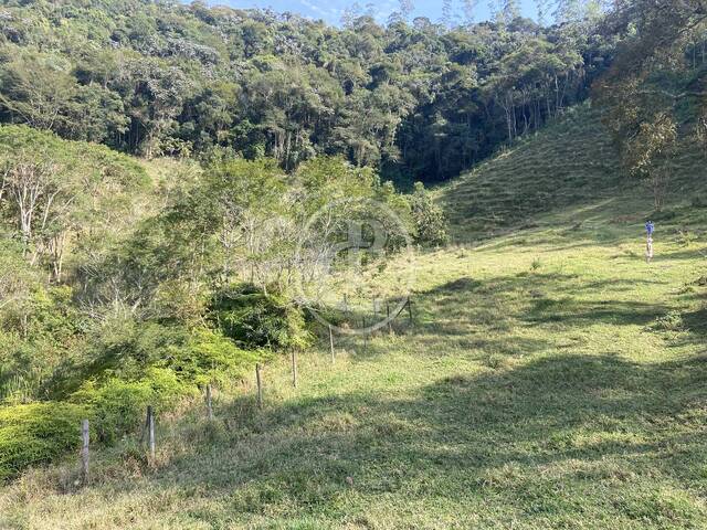 Sítio para Venda em Monteiro Lobato - 5