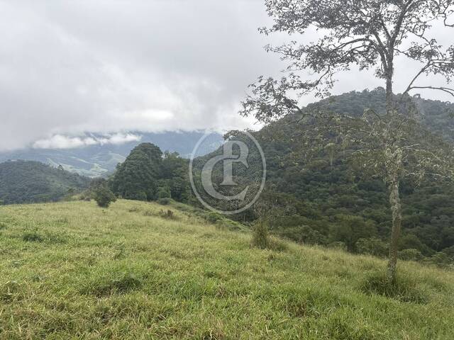 #1914 - Sítio para Venda em São José dos Campos - SP