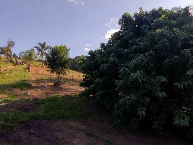 #1019 - Sítio para Venda em São Luíz do Paraitinga - SP