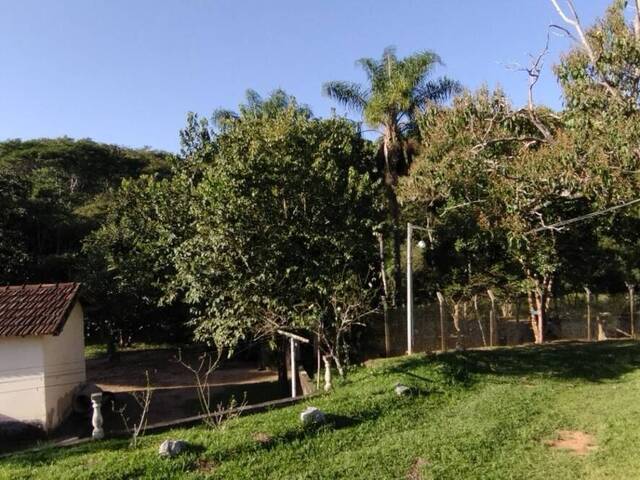 #1019 - Sítio para Venda em São Luíz do Paraitinga - SP