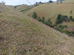 #1021 - Sítio para Venda em Paraibuna - SP