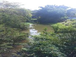 Sítio para Venda em Paraibuna - 2