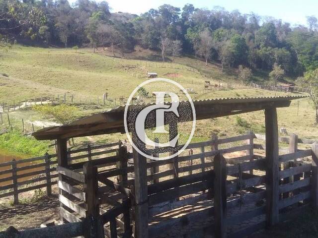 Venda em Vila Rica - Cunha