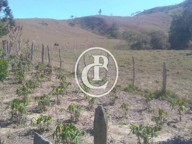 Fazenda para Venda em Cunha - 2