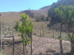 Fazenda para Venda em Cunha - 4