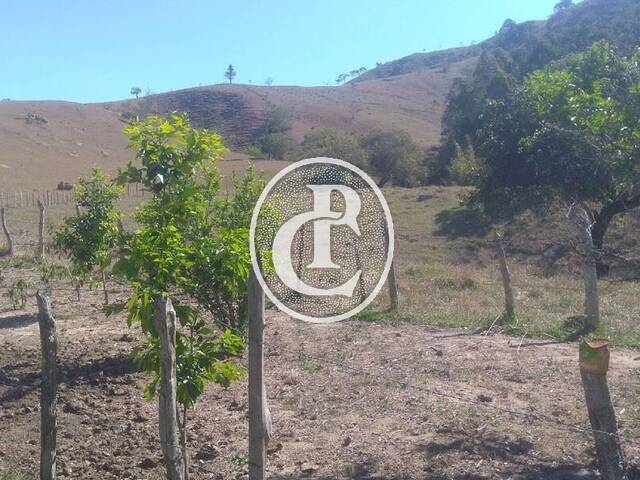 Fazenda para Venda em Cunha - 4
