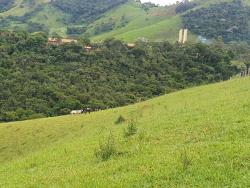#1034 - Sítio para Venda em Virgínia - MG