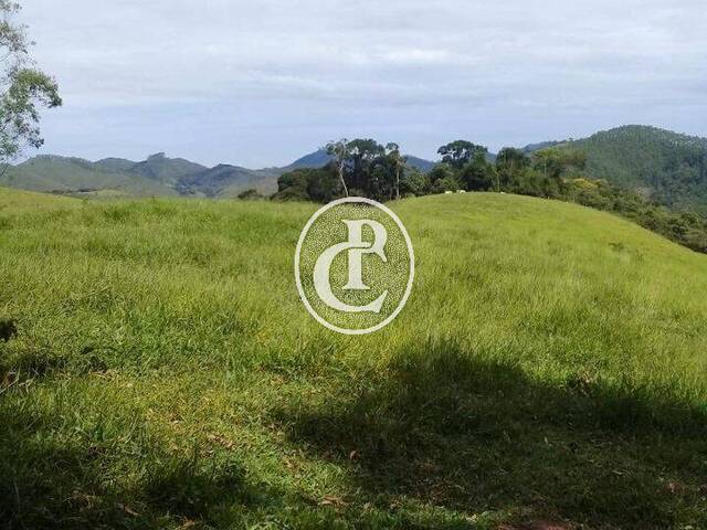 Sítio para Venda em São Luíz do Paraitinga - 5