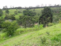 Sítio para Venda em Redenção da Serra - 5