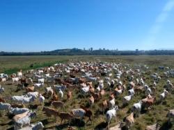 #1095 - Fazenda para Venda em São José dos Campos - SP