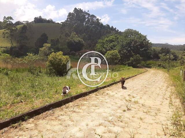 Fazenda para Venda em Natividade da Serra - 4