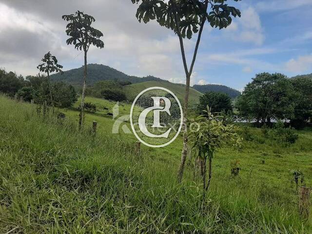 #88 - Fazenda para Venda em Natividade da Serra - SP