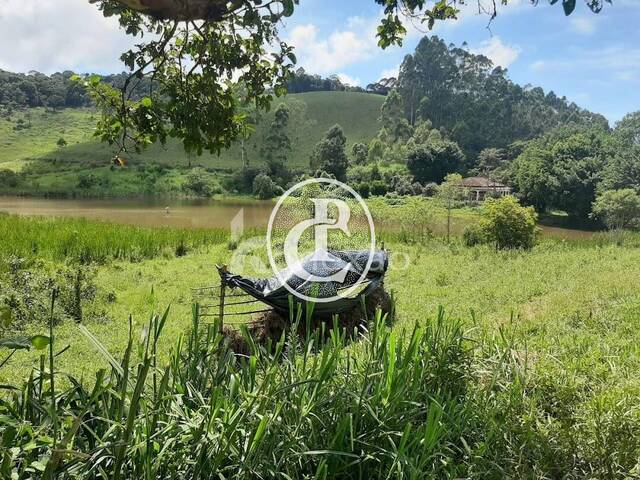 Fazenda para Venda em Natividade da Serra - 5