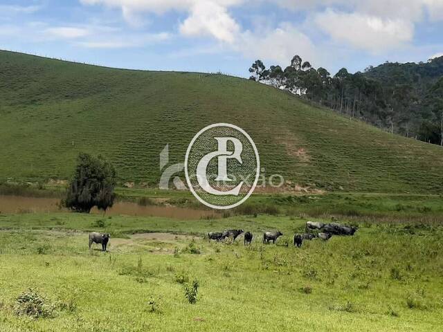 #88 - Fazenda para Venda em Natividade da Serra - SP