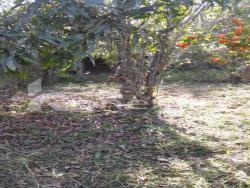 Chácara para Venda em Paraibuna - 2