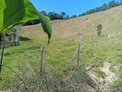 Venda em Cedro - Paraibuna