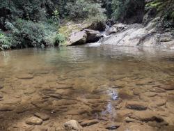 Sítio para Venda em Silveiras - 5