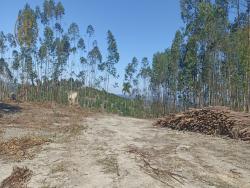 #1188 - Fazenda para Venda em Salesópolis - SP