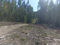 #1188 - Fazenda para Venda em Salesópolis - SP