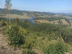 #1188 - Fazenda para Venda em Salesópolis - SP