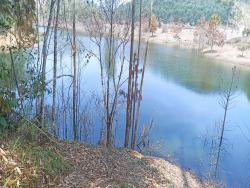 Venda em Cedro - Paraibuna