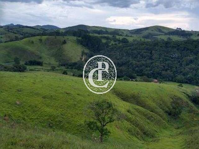 Sítio para Venda em Cunha - 3